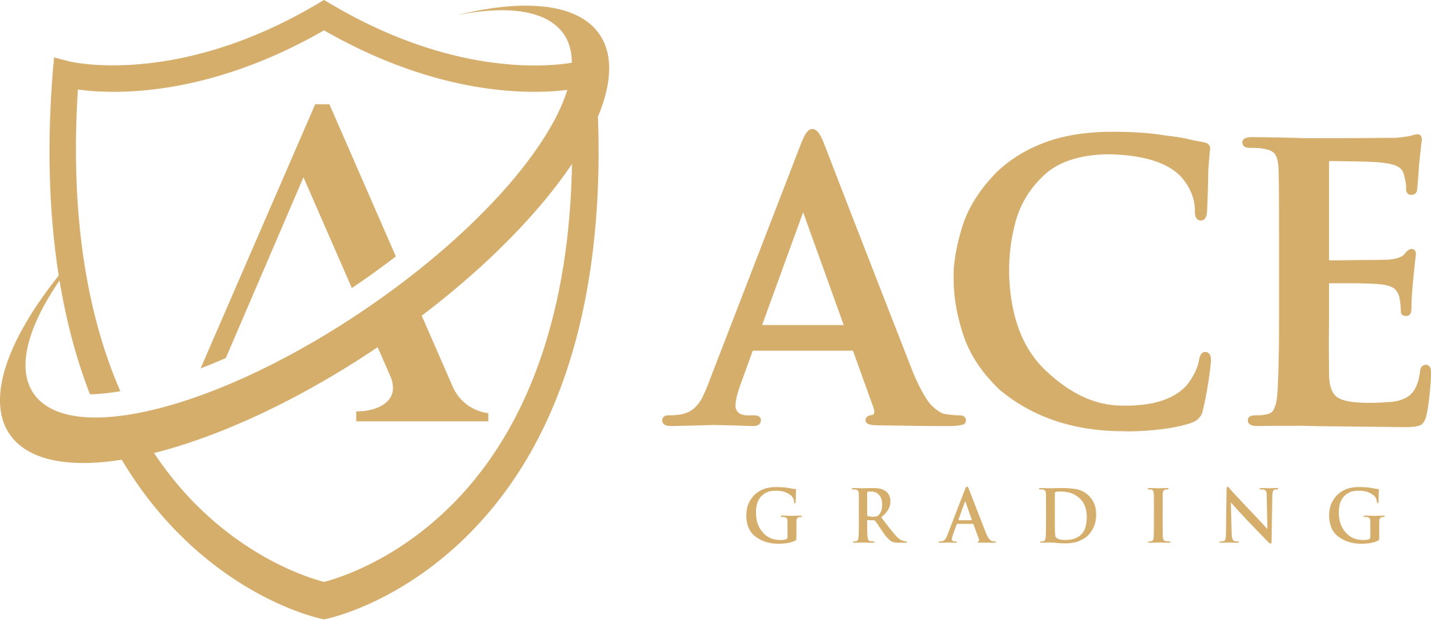 Producent: ACE (przejdź do produktów)